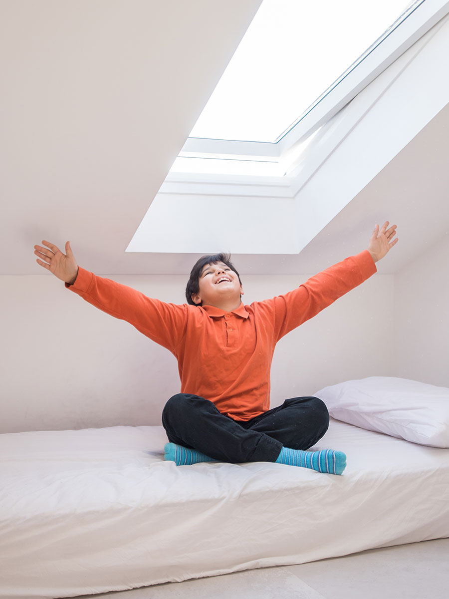 Installation et entretien de velux